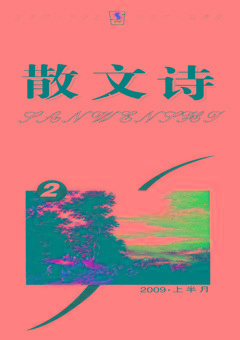 《散文诗》